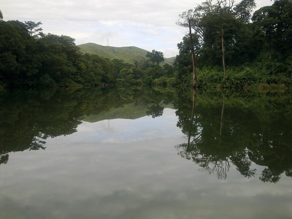Bed and Breakfast Periyar Woods Thekkady Zewnętrze zdjęcie