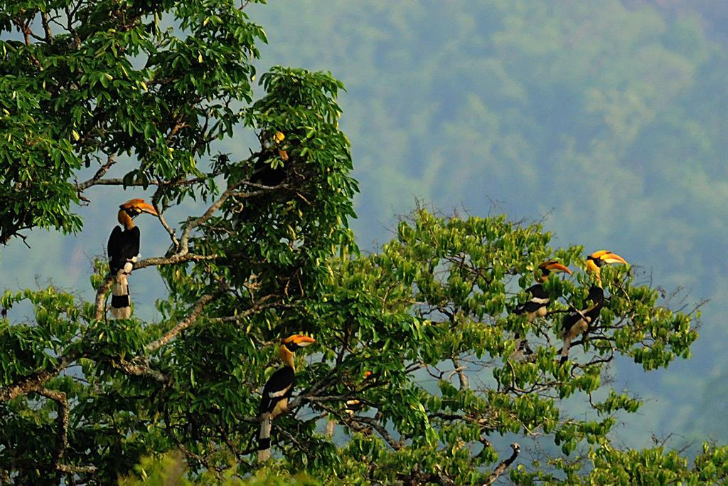 Bed and Breakfast Periyar Woods Thekkady Zewnętrze zdjęcie